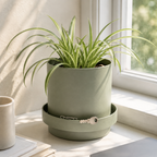 Cache-pot décoratif à anneau de rangement intégré